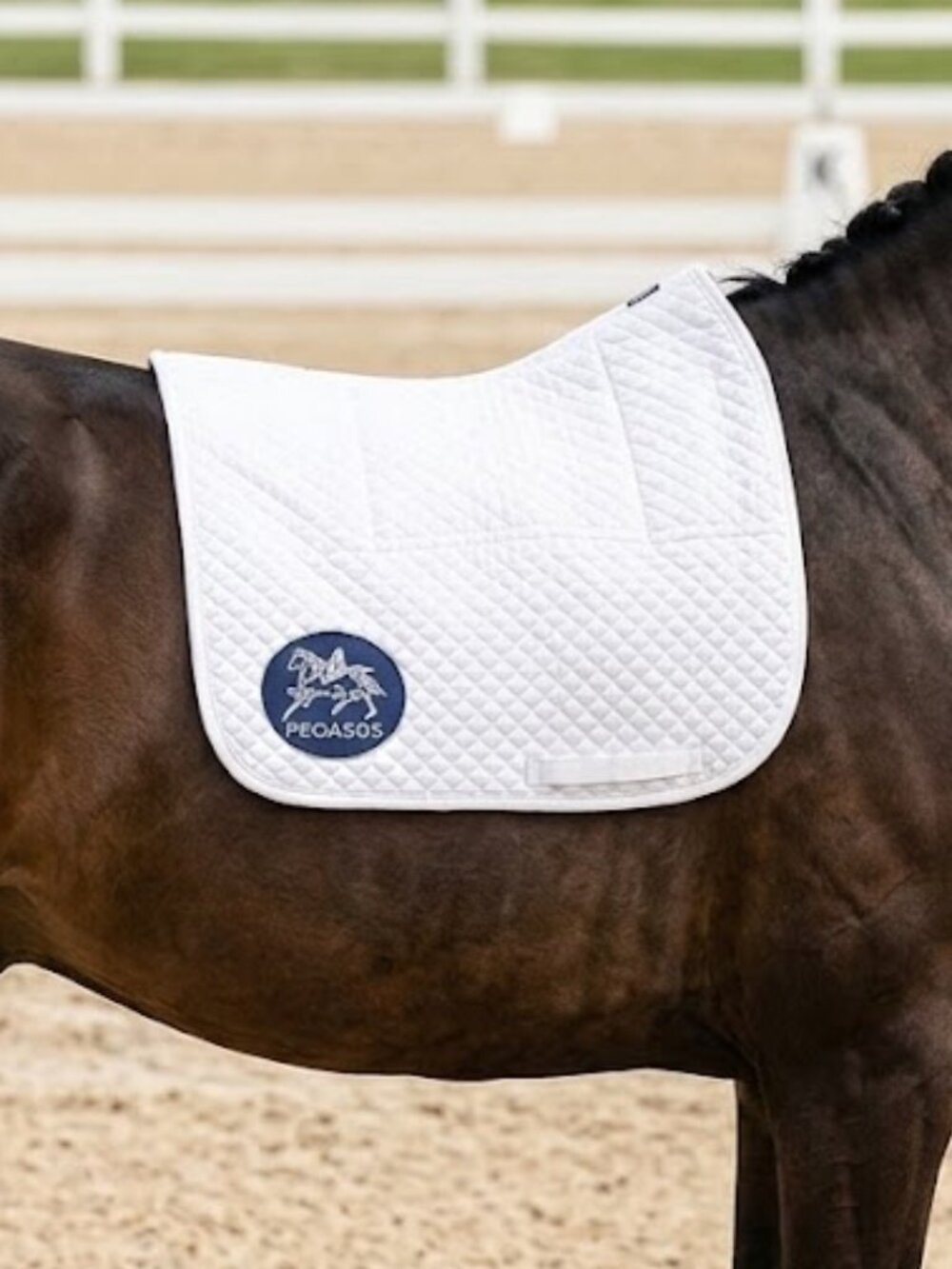 Pegasus Saddle Fitter Square Saddle Pad with Wither relief